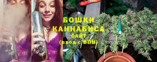 спайс Богородск