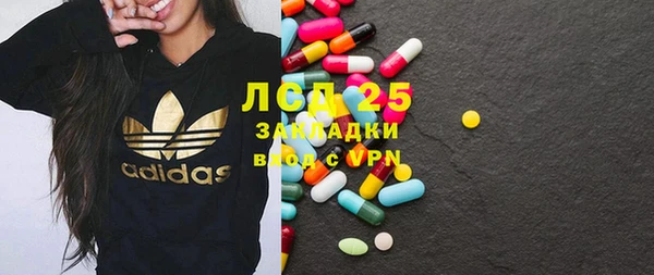 ECSTASY Богородицк